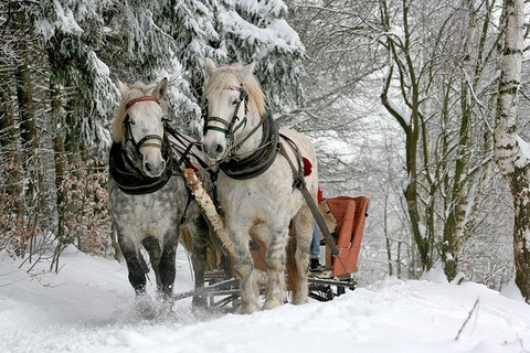 sleigh-ride-TomaszProszek_pixabay_gd0c5747ee_640